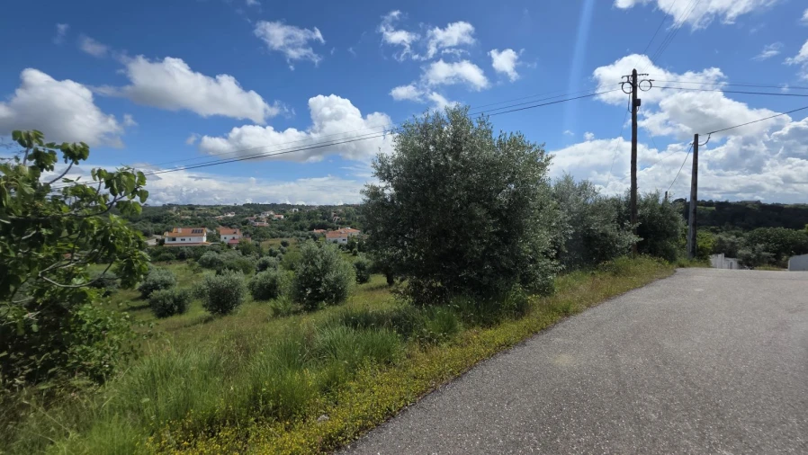 Terreno para Venda em Madalena e Beselga Foto 33