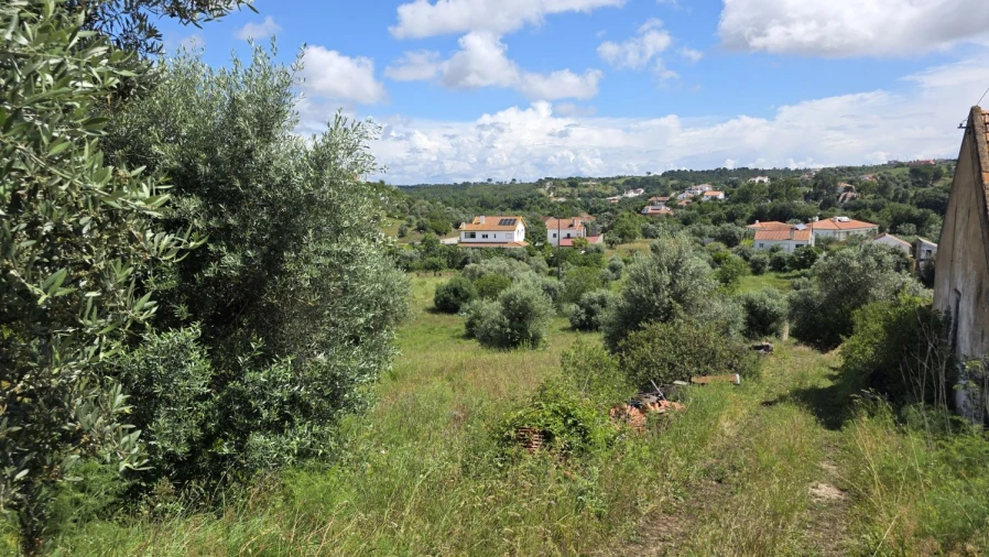 Terreno para Venda em Madalena e Beselga Foto 4