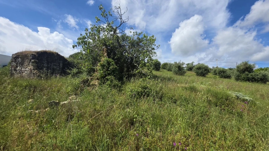 Terreno para Venda em Madalena e Beselga Foto 14