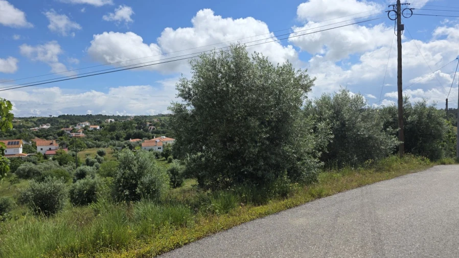 Terreno para Venda em Madalena e Beselga Foto 2