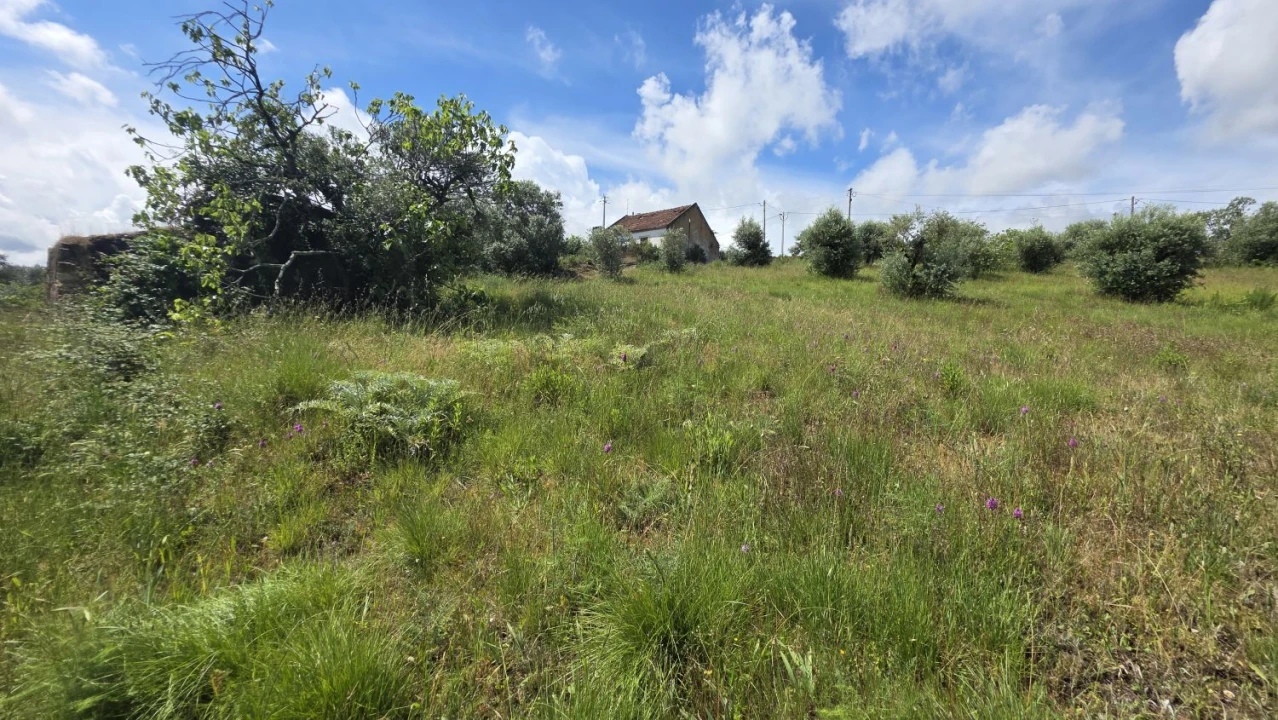 Terreno para Venda em Madalena e Beselga Foto 20