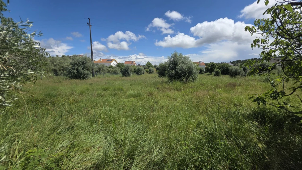 Terreno para Venda em Madalena e Beselga Foto 15