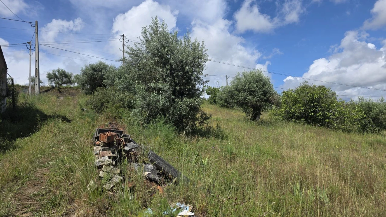 Terreno para Venda em Madalena e Beselga Foto 6