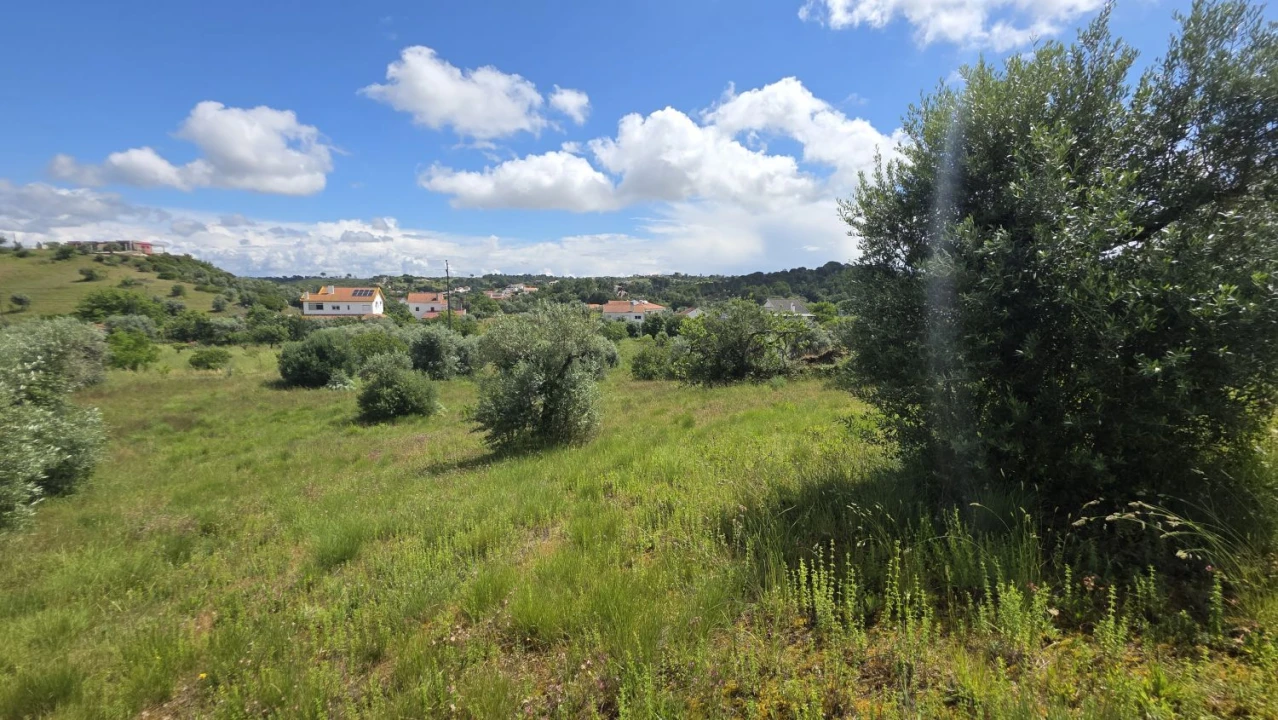 Terreno para Venda em Madalena e Beselga Foto 25