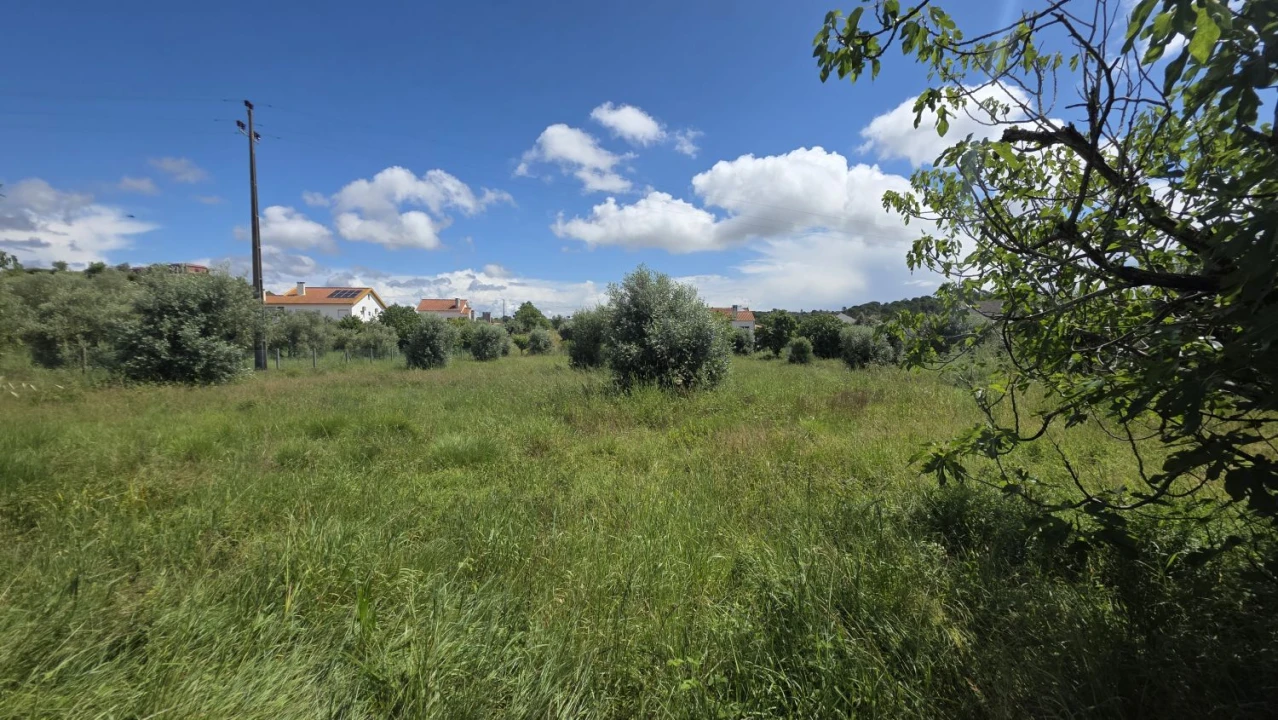 Terreno para Venda em Madalena e Beselga Foto 17