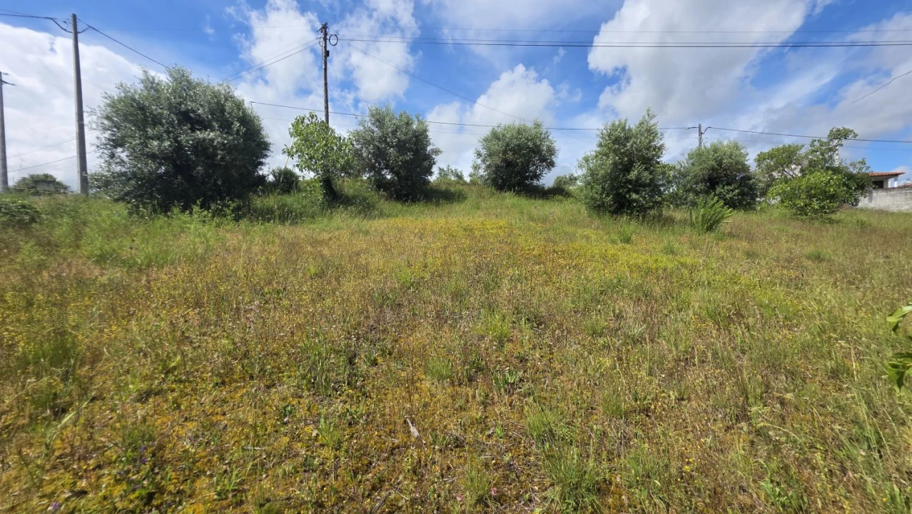 Terreno para Venda em Madalena e Beselga Foto 26