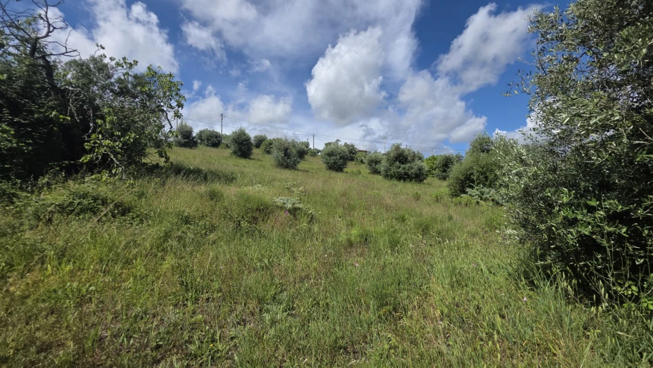 Terreno para Venda em Madalena e Beselga Foto 18