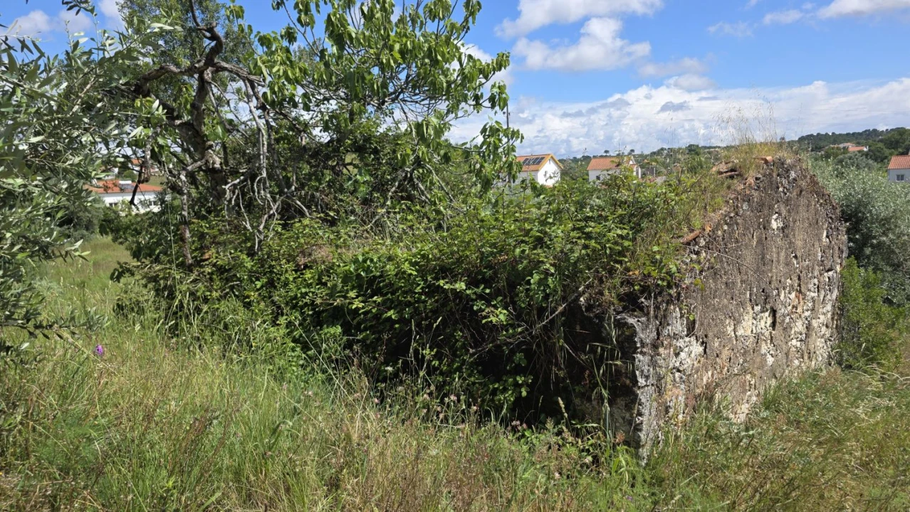 Terreno para Venda em Madalena e Beselga Foto 8