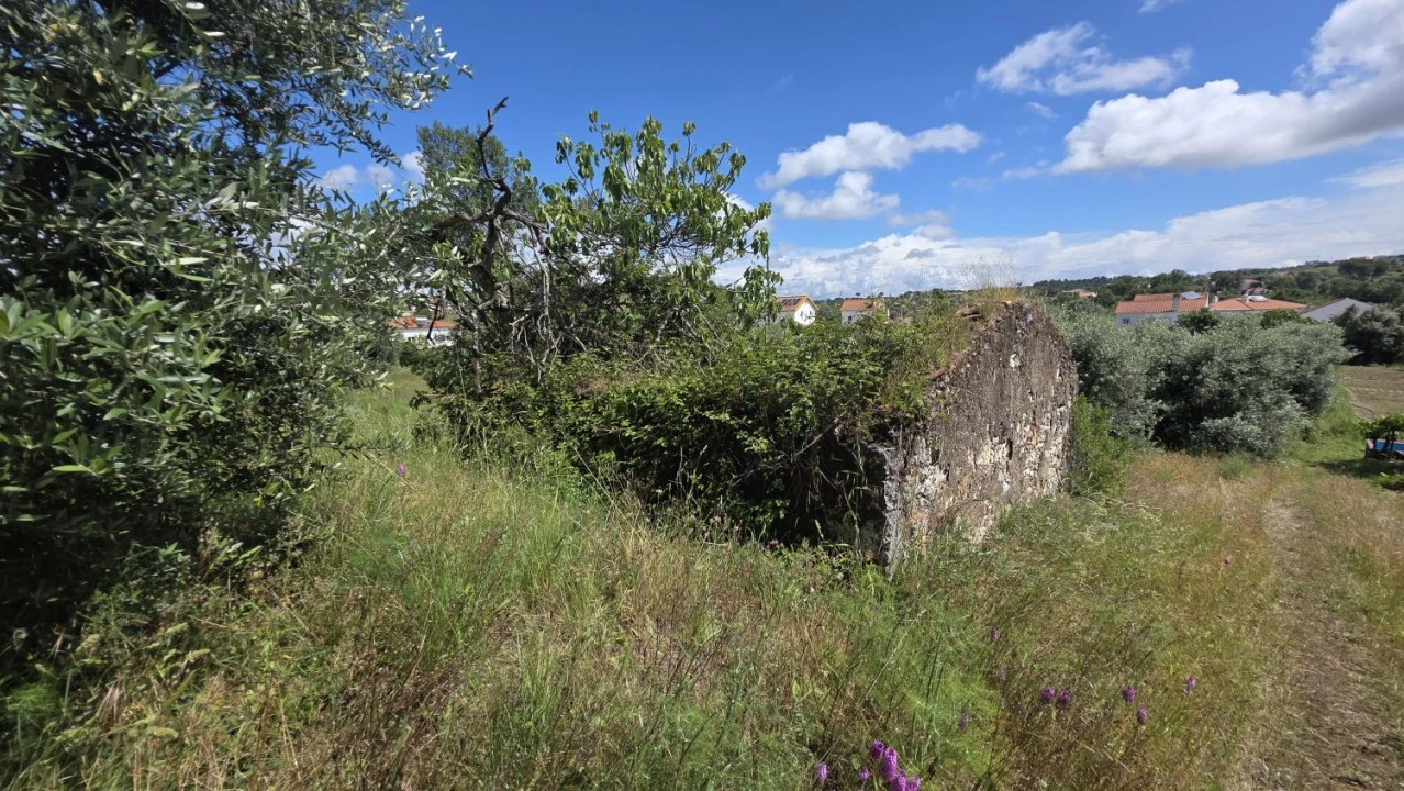 Terreno para Venda em Madalena e Beselga Foto 9