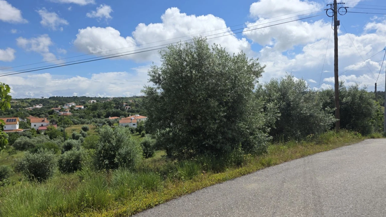 Terreno para Venda em Madalena e Beselga Foto 2