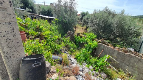 Moradia T3 para Venda em Vila de Rei
