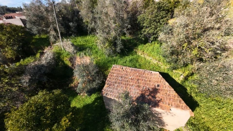 Quinta T5 para Venda em Igreja Nova do Sobral