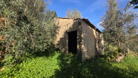 Quinta T5 para Venda em Igreja Nova do Sobral