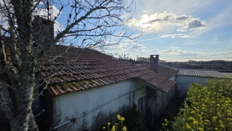 Quinta T5 para Venda em Igreja Nova do Sobral