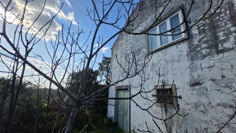 Quinta T5 para Venda em Igreja Nova do Sobral