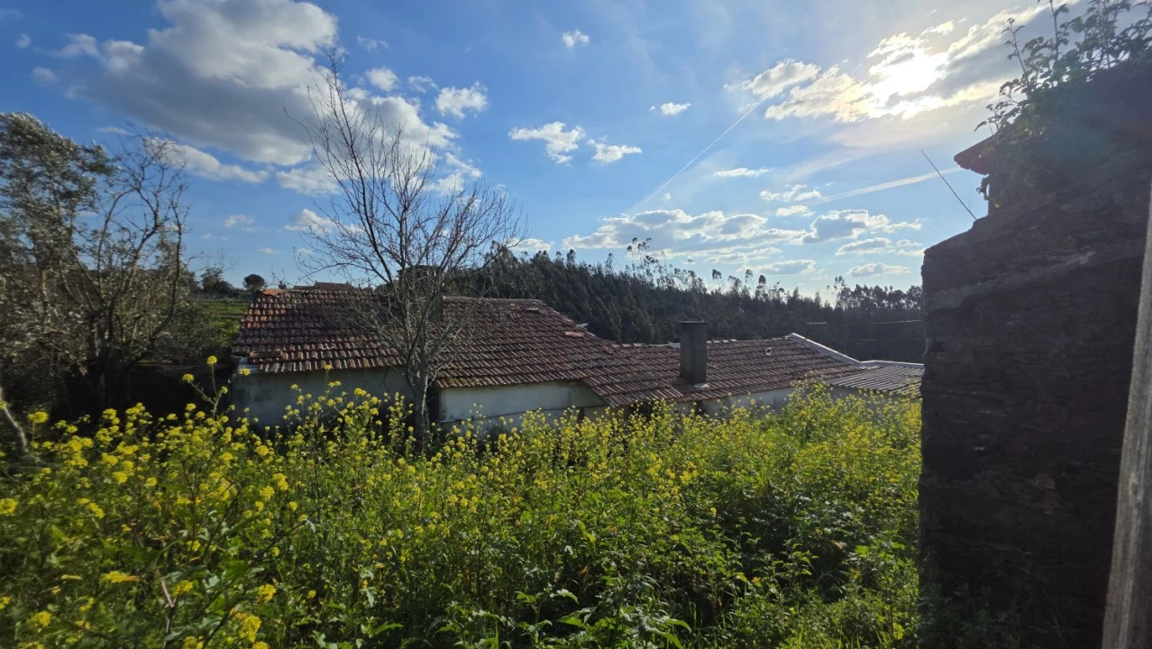 Quinta T5 para Venda em Igreja Nova do Sobral Foto 41