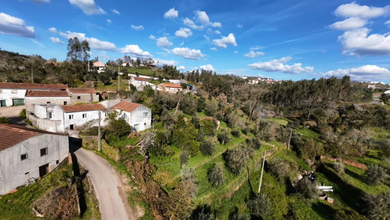 Quinta T5 para Venda em Igreja Nova do Sobral Foto 6