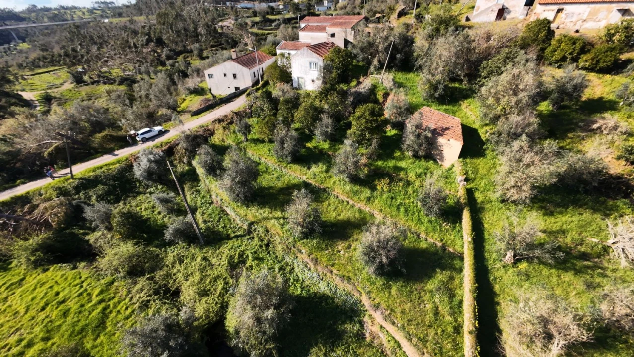 Quinta T5 para Venda em Igreja Nova do Sobral Foto 4