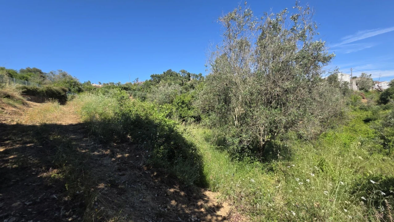 Terreno para Venda em Igreja Nova do Sobral Foto 13