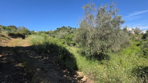 Terreno para Venda em Igreja Nova do Sobral