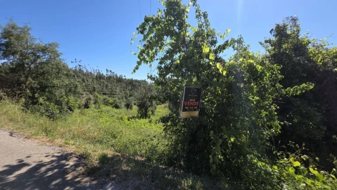 Terreno para Venda em Igreja Nova do Sobral