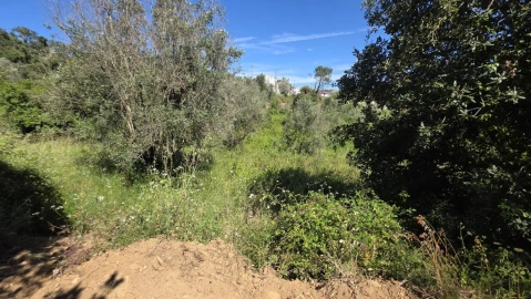 Terreno para Venda em Igreja Nova do Sobral