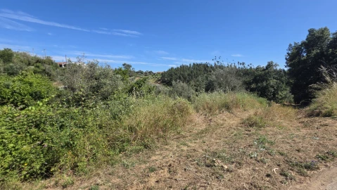 Terreno para Venda em Igreja Nova do Sobral