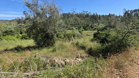 Terreno para Venda em Igreja Nova do Sobral