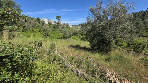 Terreno para Venda em Igreja Nova do Sobral