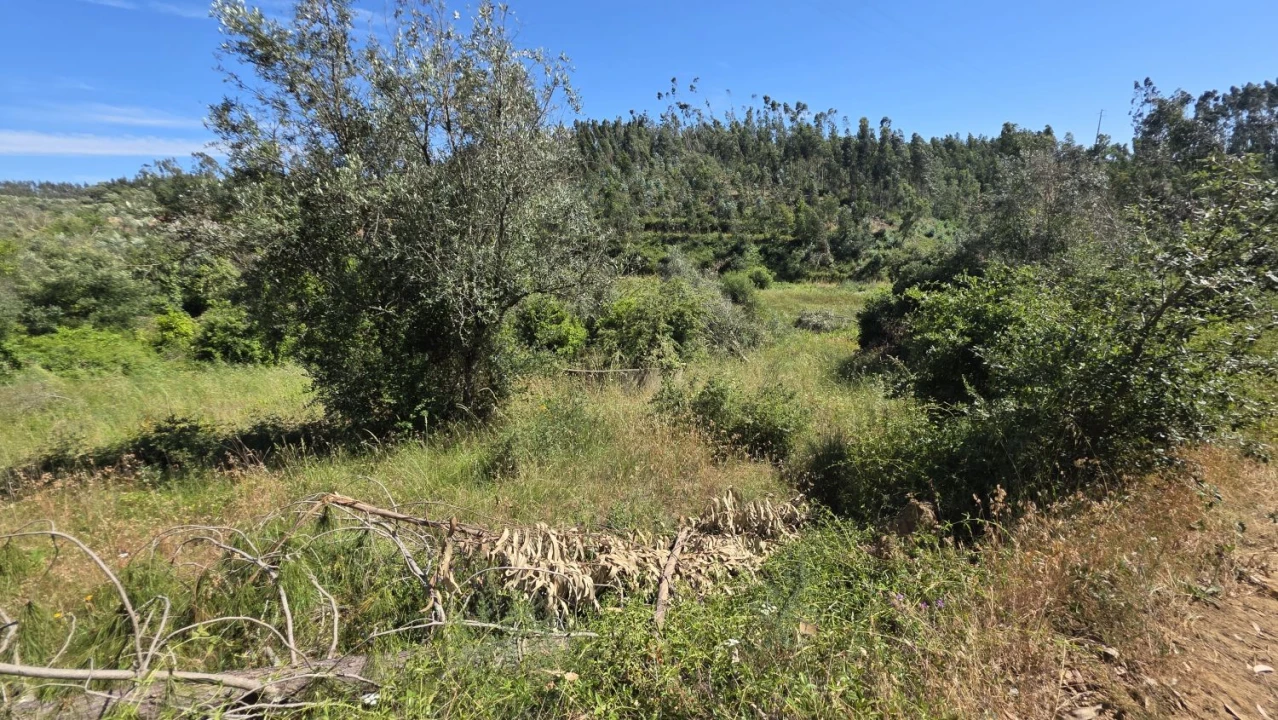 Terreno para Venda em Igreja Nova do Sobral Foto 15