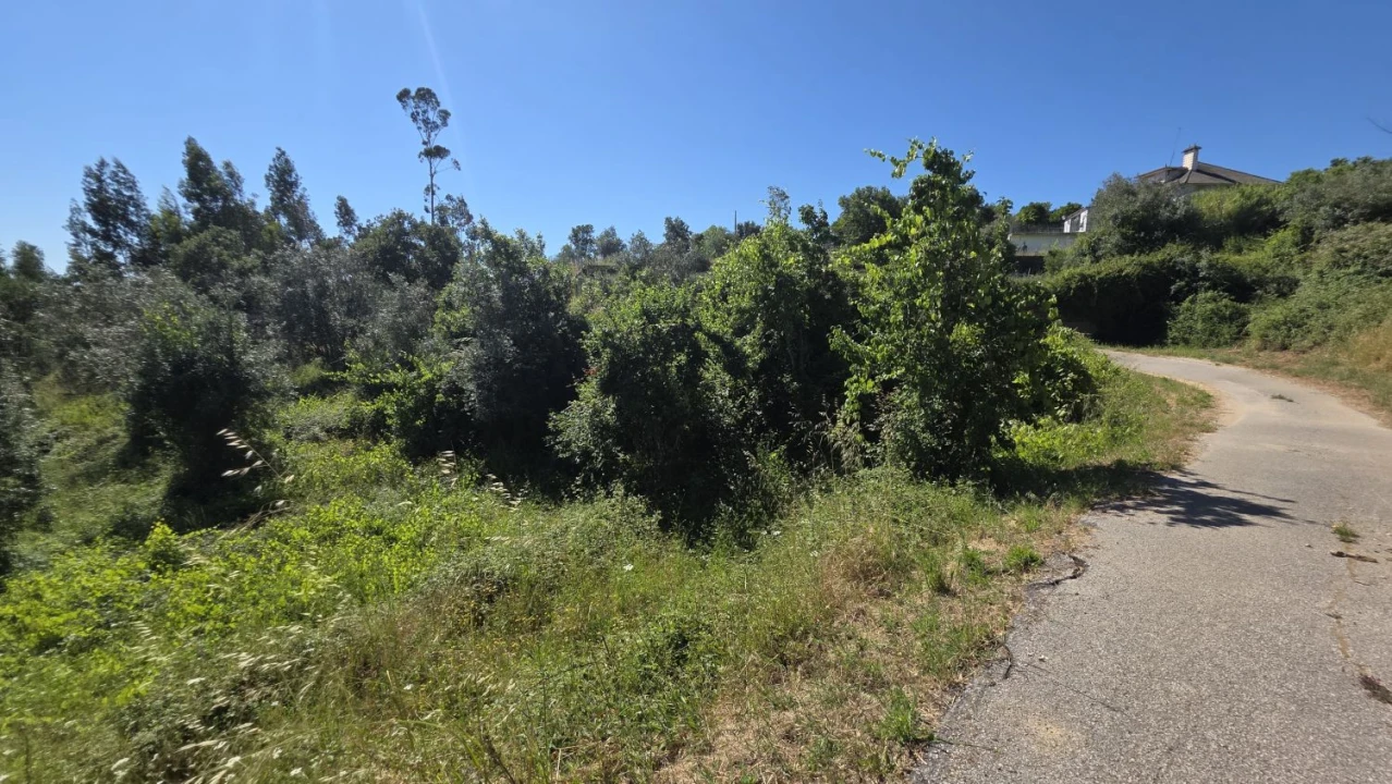 Terreno para Venda em Igreja Nova do Sobral Foto 6