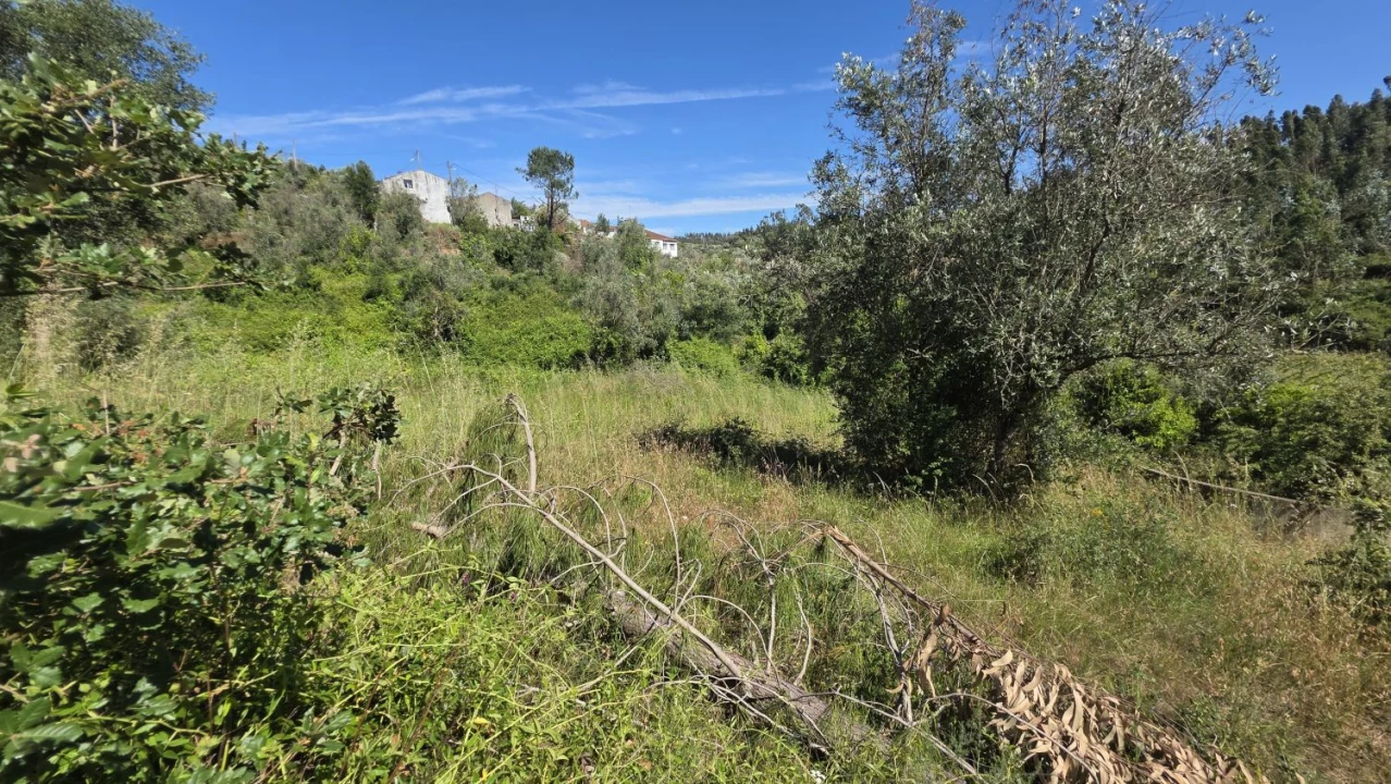 Terreno para Venda em Igreja Nova do Sobral Foto 14