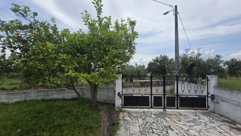 Moradia T4 para Venda em São João Baptista e Santa Maria dos Olivais