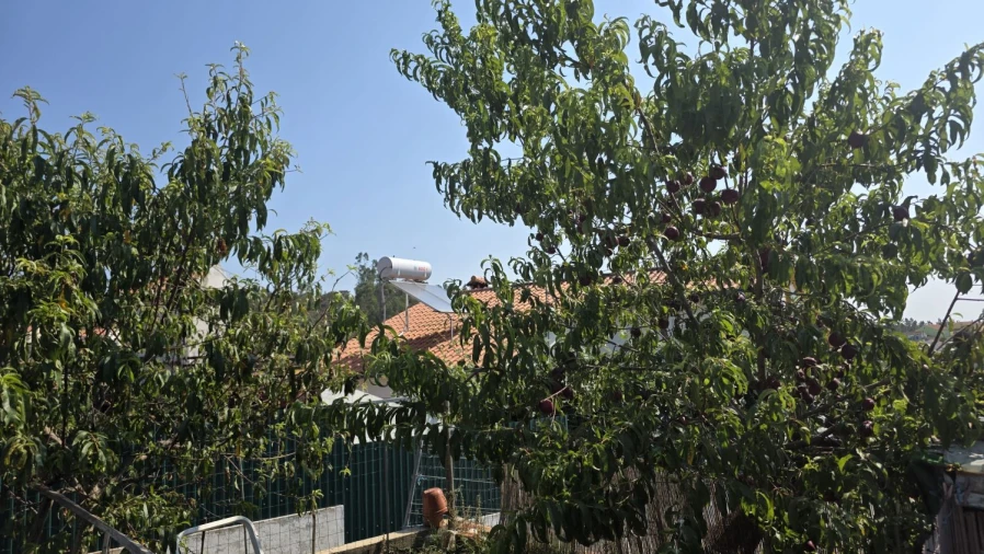 Moradia T3 para Venda em Vila de Rei Foto 54