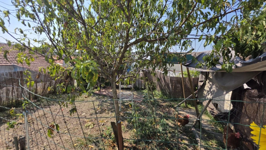 Moradia T3 para Venda em Vila de Rei Foto 50
