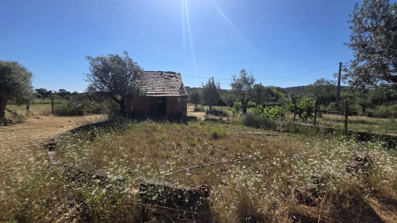 Moradia T3 para Venda em Areias e Pias Foto 4