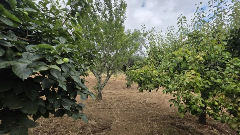 Moradia T3 para Venda em Pedrogão Grande