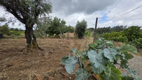 Moradia T3 para Venda em Pedrogão Grande