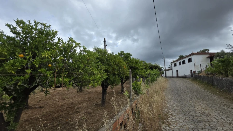 Moradia T3 para Venda em Pedrogão Grande Foto 6
