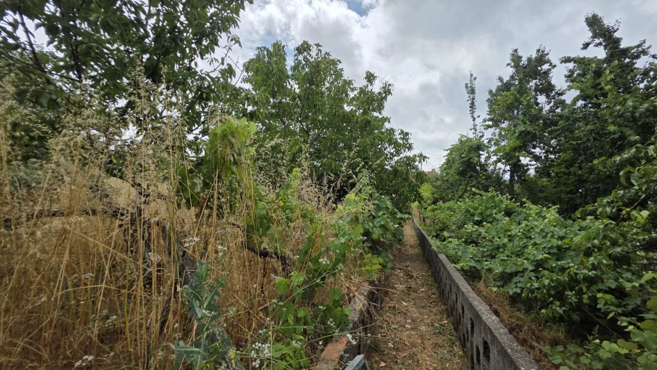 Moradia T3 para Venda em Pedrogão Grande Foto 47