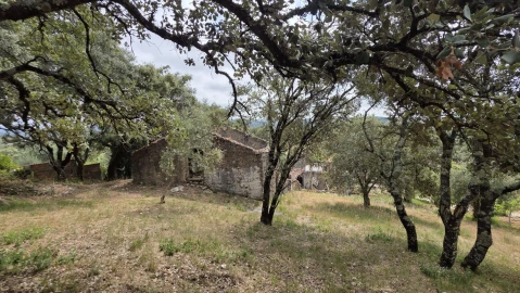 Moradia T4 para Venda em Areias e Pias