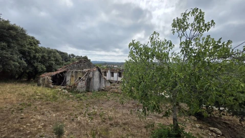 Moradia T4 para Venda em Areias e Pias