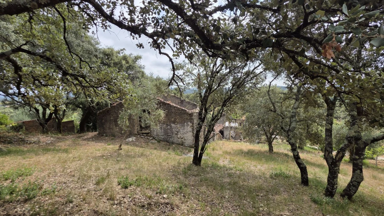 Moradia T4 para Venda em Areias e Pias Foto 20