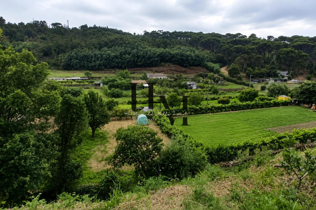 Terreno para Venda em Arganil Foto 3