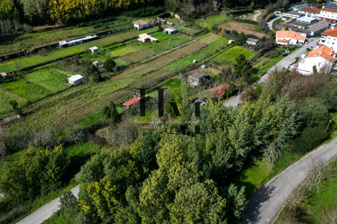 Terreno para Venda em Arganil Foto 2
