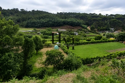 Terreno para Venda em Arganil