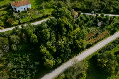 Terreno para Venda em Arganil