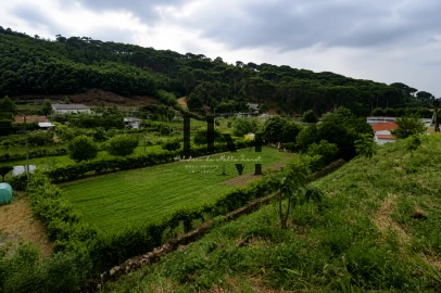 Terreno para Venda em Arganil