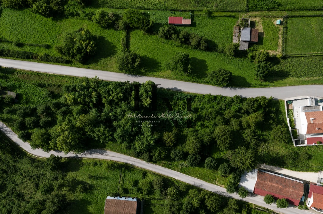 Terreno para Venda em Arganil Foto 4