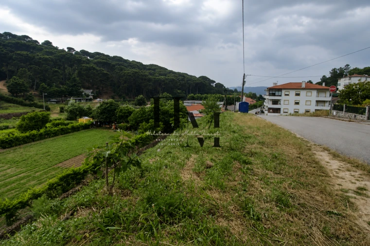 Terreno para Venda em Arganil Foto 5